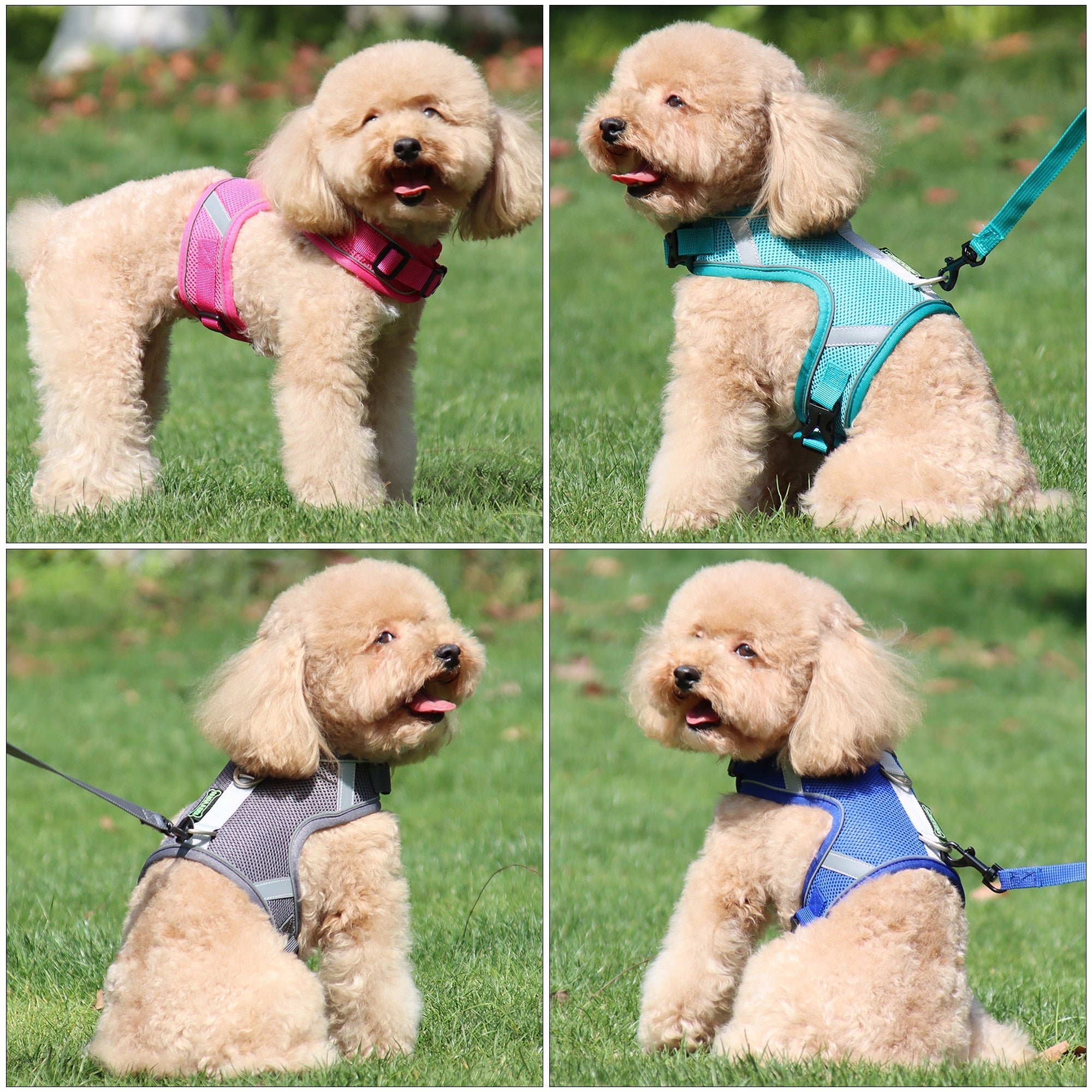 Dog Harness Vest With Lead Leash Small Medium Dogs Cats Reflective Breathable Mesh Pet - Xvogue