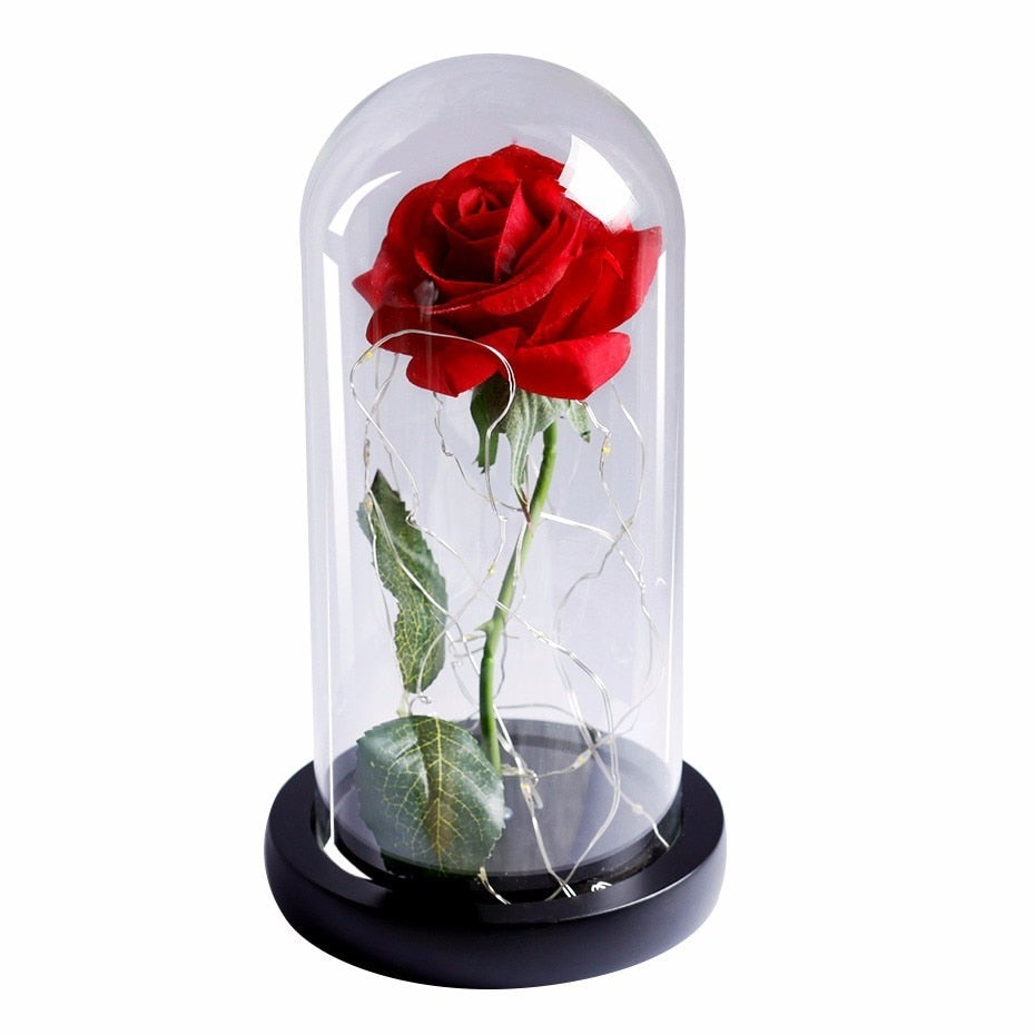 Beauty And Beast Rose In Flask Led Rose Flower Light Black Base Glass Dome Best For Mother's Day Valentines Day Gift - Xvogue