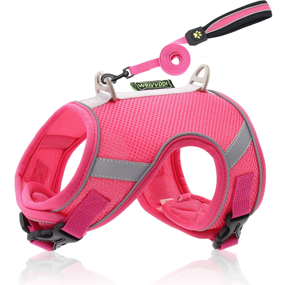 Dog Harness Vest With Lead Leash Small Medium Dogs Cats Reflective Breathable Mesh Pet - Xvogue
